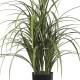 Test herba artificial miscanthus