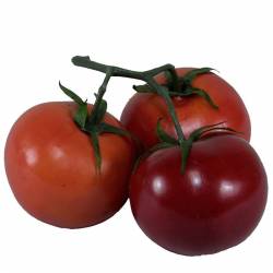 Tomates artificiales en rama