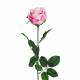 Flor artificial rosa economica