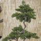 Bonsai artificial pino japones grande 158