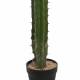 Cactus artificial saguaro amb test