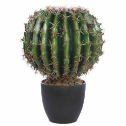 Bola cactus artificial amb test 035