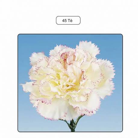 Flor clavel artificial 055