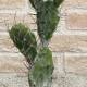 Cactus artificial Opuntia Prasina xicotet sense test 038