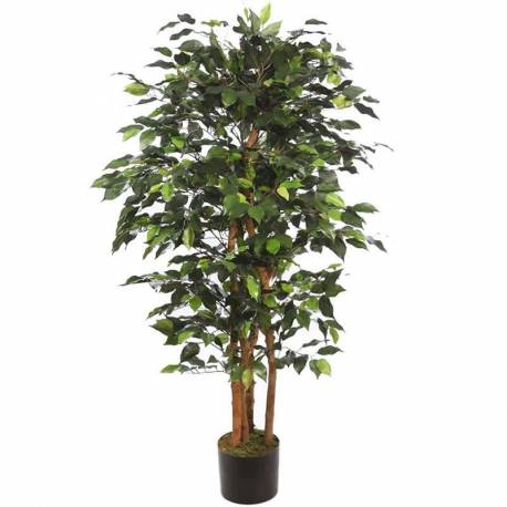 Ficus artificial amb troncs naturals 150