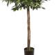 Ficus artificial bola con troncos naturales 140