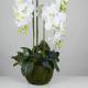 Orquidies phalaenopsis artificials amb test 080