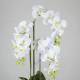 Orquidies phalaenopsis artificials amb test 080
