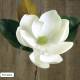 Branca magnolia artificial blanca