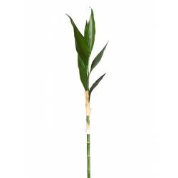 Rama bambu de la suerte artificial recta