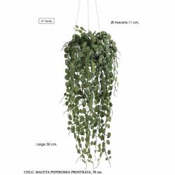 Planta colgante artificial peperomia con maceta