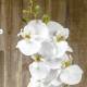 Flor phalaenopsis artificial 7 flores