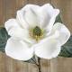 Branca flor magnolia artificial blanca