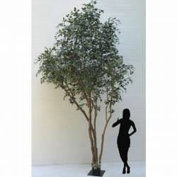 Ficus artificial gigante 450