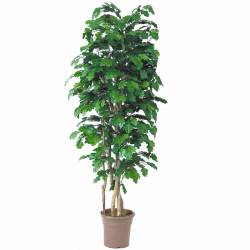 Arbol roble artificial UVR 150