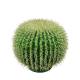 Bola cactus barrel artificial