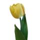 Flor artificial tulipa