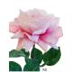 Vara flor rosa artificial