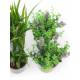 Joc 6 plantes herbes artificials amb test cristall
