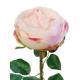 Flor rosa artificial Cabbage