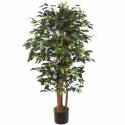 Comprar Ficus Artificial Online | Decoración Verde sin Mantenimiento | Oasis Decor