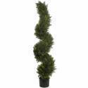 Arbres Topiary